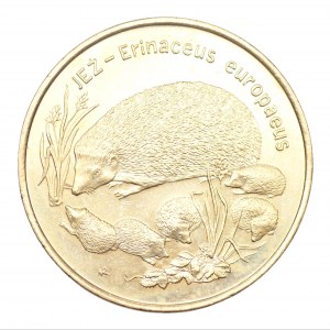 2 gold 1996 - Hedgehog