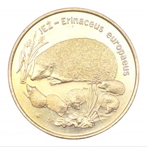 2 gold 1996 - Hedgehog