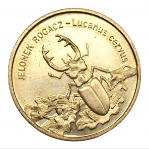 2 gold 1997 - Hornbill Deer