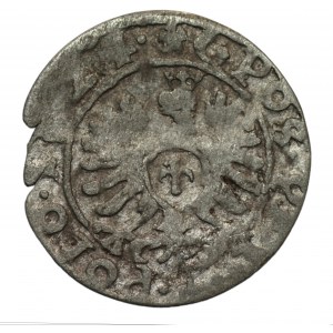 Sigismund III Vasa (1587-1632) - 1624 penny - GÓRECKI COLLECTION