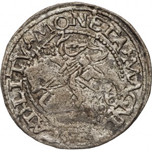 Zygmunt II August (1545-1572, monety litewskie, półgrosz 1566, Tykocin.