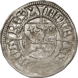 POMORZE, księstwo szczecińskie, Bogusław X (1478-1523), szeląg 1494, Gardziec.