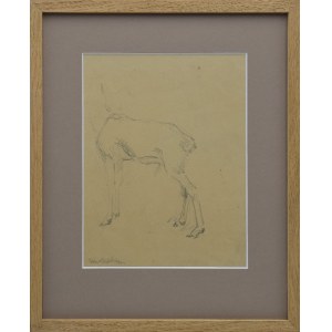 Jozef MEHOFFER (1869-1946), Study of a deer