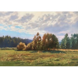 Wojciech Piekarski, Spring Landscape 3