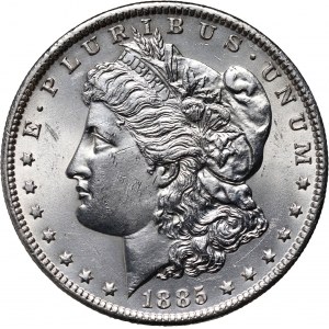 USA, Dollar 1885 O, New Orleans, Morgan