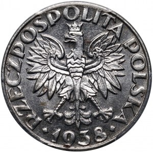 Generalna Gubernia, 50 groszy 1938, Warszawa, żelazo