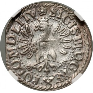Zygmunt III Waza, grosz 1612, Wilno