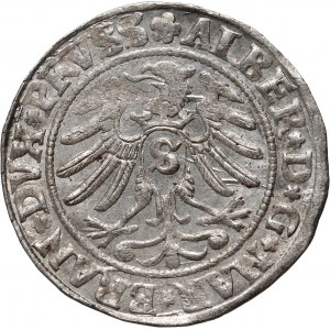 Prusy Książęce, Albrecht Hohenzollern, grosz 1531, Królewiec, rzadszy rocznik
