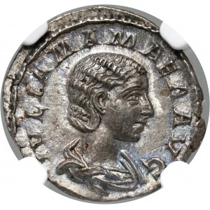 Roman Empire, Julia Mamea (mother of Alexander Severus 222-235), Denar, Rome