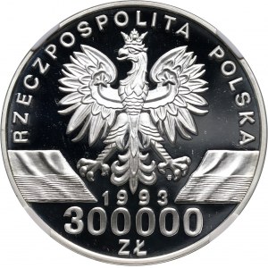 III RP, 300000 złotych 1993, Jaskółki, srebro