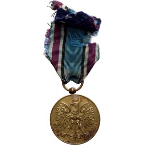 Polska, II RP, Medal Polska Swemu Obrońcy, za Wojnę 1918-1921