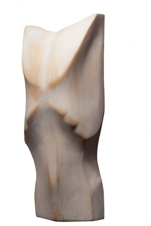 Ryszard Litwiniuk, ur. 1966, Torso, 2015