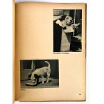 Karol CZAPEK - DASZEŃKA or the life of a puppy - 1950