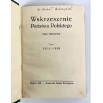 WSKRZESZENIE PAŃSTWA POLSKIEGO - Szkic historyczny - 1914-1918
