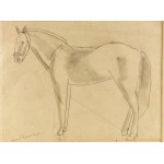 Ludwig PUGET - Horse - 1930s.