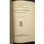 Raphael Taubenschlag Strafrecht des polnischen Mittelalters Jahr 1934