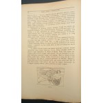 Jan Parandowski Mitologja Wierzenia i podania Greków i Rzymian Rok 1924