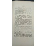 Irisches Strafvollzugssystem Lvov 1870