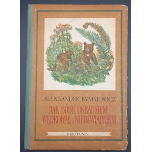 Aleksander Rymkiewicz How Beaver stealthily wandered with Bear Illustrations Roman Owidzki Edition I