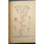 Jan Muszyński Atlas of medicinal plants