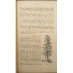 B. Dyakowski Unser Wald und seine Bewohner Edition IV