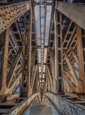 Radek von Hirschberg, Golden Bridge (Female), 2022