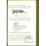 SIMM Kazimierz, Entomology.