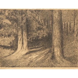 Stanisław Szwarc (1880-1953 Kraków), Im Wald