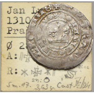 Jan Lucemburský (1310-46). Pražský groš (3,50 g). Castelin-Cihlář-IV/24. Lev typu 2, na rubu pětilistá růžice