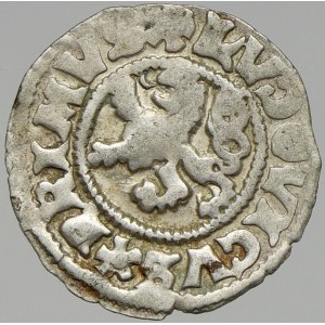 Ludvík I. (1516-26). Bílý peníz, blíže neurčený, v opisu kytičky