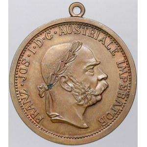 František Josef I. Medaile s let. 1904.