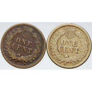 USA. 1 cent 1863, 1875