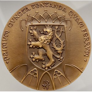 Knobloch Milan. 600. výročí úmrtí Karla IV. Patinovaný bronz 75 mm