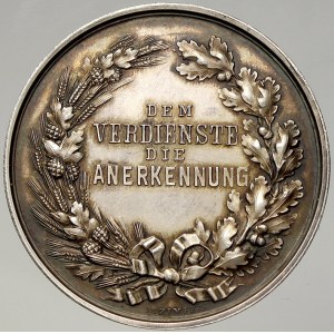 evropské medaile. Rakousko. Enns. Stříbrná medaile za zásluhy. Uděleno Landesculturrath. Ag 39 mm