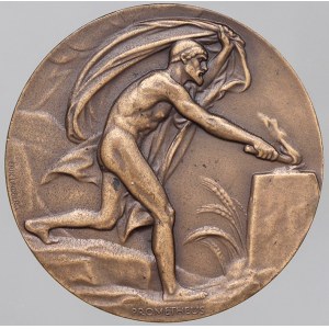 evropské medaile. Švédsko. Medaile Akademie inženýrských věd za rok 1958. 