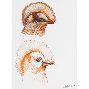 Jan LEBENSTEIN (1930-1999), Głowy ptaków - szkic, 1971