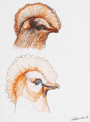 Jan LEBENSTEIN (1930-1999), Głowy ptaków - szkic, 1971