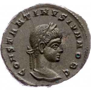 Ancient, Constantine I., Nummus R/VOT