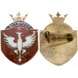 Poland, patriotic badge with the Eagle under the crown, 3.V.1917