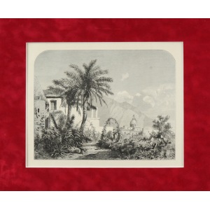 Świeszewski Aleksander (1839-1895), Palmy na wyspie Capri