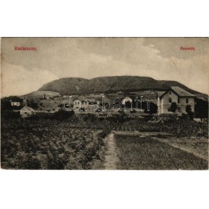 1910 Badacsony, nyaralók, szőlőskert (EK)