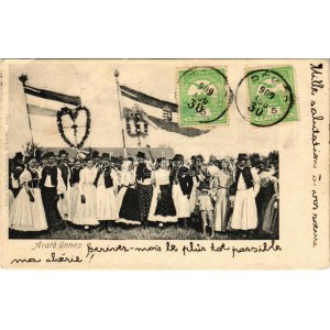 1909 Békés, arató ünnep magyar címeres zászlóval. Véver Oszkár kiadása 1259. TCV card (EK)