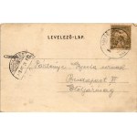 1903 Budapest XXII. Nagytétény, Nagy-Tétény; Diósárok (Diós árok), szőlőskertek. Szakály Károly kiadása (EK...