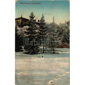 1922 Arad, Téli kép a Salacz parkból. Matusik felvétele, Kerpel Izsó kiadás / winter (EB)