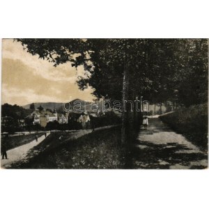 1918 Brassó, Kronstadt, Brasov; Postarét. H. Zeidner / Postwiese / Livadia postei