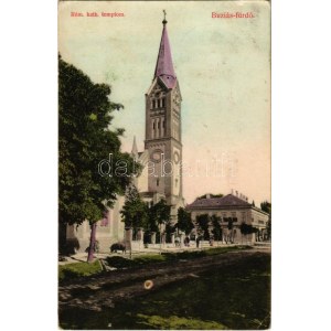1908 Buziásfürdő, Baia Buzias; Római katolikus templom, Nagy szálloda, disznó. Francz testvérek kiadása / church...