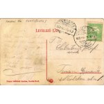 1908 Buziásfürdő, Baia Buzias; Római katolikus templom, Nagy szálloda, disznó. Francz testvérek kiadása / church...