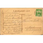 1915 Érmihályfalva, Valea lui Mihai; Fő tér, üzlet. Glück Lajos kiadása / main square, shop