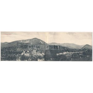 1908 Felsőbánya, Baia Sprie; látkép délről, templom. A Gutini választmány kiadása, két részes kihajtható panorámalap ...