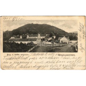 1905 Görgényszentimre, Gurghiu; Magy. kir. erdőőri szakiskola (Rákóczi-Bornemissza kastély) / forestry school (castle) ...